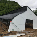Agriculture productive mushroom greenhouse for sale